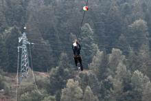 RTE installe des balises "avifaune"